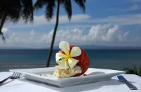 Taveuni Palms Resort Hotels in Matei
