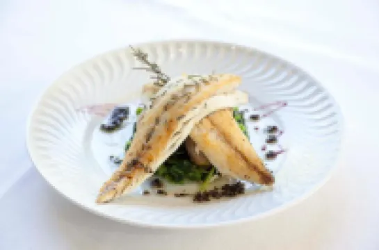 Hotel Termas da Curia