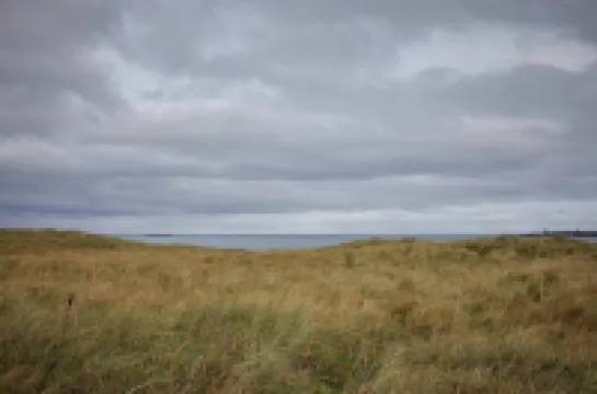 Host Stay Ocean Pearl