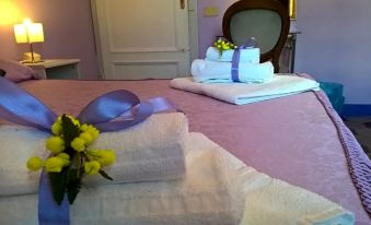 B&B la Mimosa