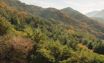 덴바스타 포레스트 호텔