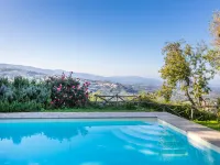 Belvedere - Pools