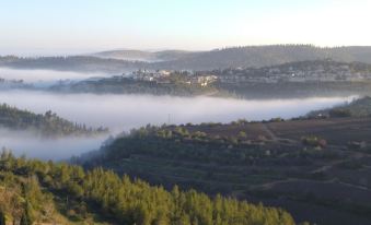 Shoresh Green Hills Family Suites Hotel - Housity
