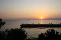 بيجاسوس موتل