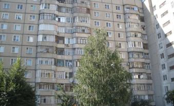 Apartment on Ryleeva 98