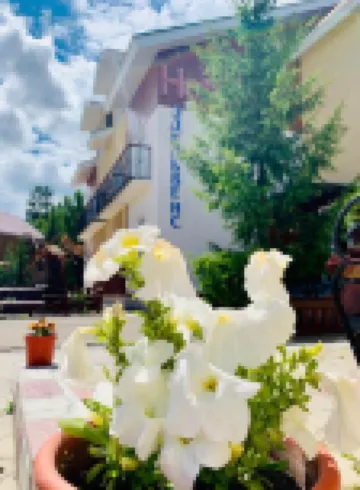 Edelveys Hotel Hotels in Beloretsky District