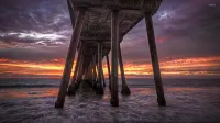ITH Hermosa Beach Surf Hostel LAX - Hosteller
