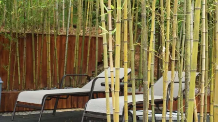 Xiao Senlin Resort Hotel