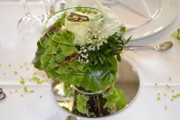 Hotel Haus Lenze - Pet friendly