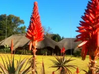 African Flair Country Lodge - Pet friendly
