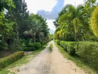 巴薩迪普度假村 - 度假村