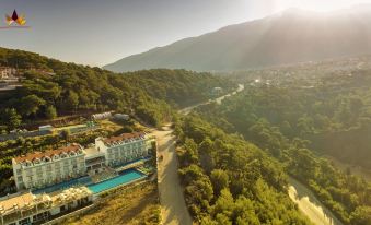 Sertil Deluxe Tropical Suites - Housity