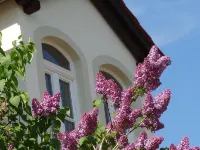 Pension Kchischowka Hotels in Vetschau