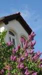 Pension Kchischowka Hotels in Vetschau