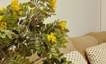 Zhang Chengcheng Apartment (Tianguan Di Street)