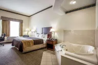 Comfort Inn & Suites FtJackson Maingate