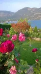 Cozy Apollon Villa, Sea View, Next to Galaxidi