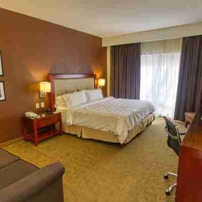 ホリデイ イン レオン Rooms