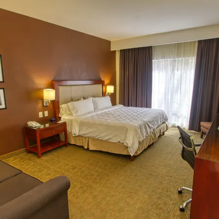 Holiday Inn LEON by IHG