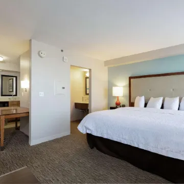 Hampton Inn & Suites Austin-Airport