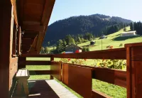 Alpenchalet Weidhaus Gstaad - Mountain view