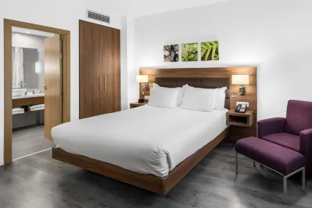 힐튼 가든 인 말라가