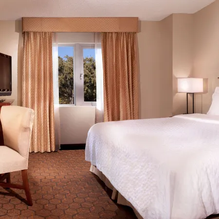 Embassy Suites by Hilton Austin Arboretum Отели рядом с достопримечательностью «Торговый центр The Arboretum»