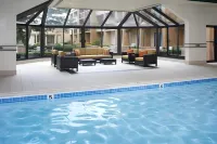 Hilton Garden Inn Addison Hotel di Bloomingdale