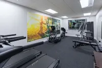 The Walden, Trademark Collection By Wyndham - gimnasio