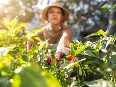 その他 マントラ エスプラネード ケアンズの写真