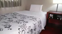 Saijo Central Hotel - 2-Star