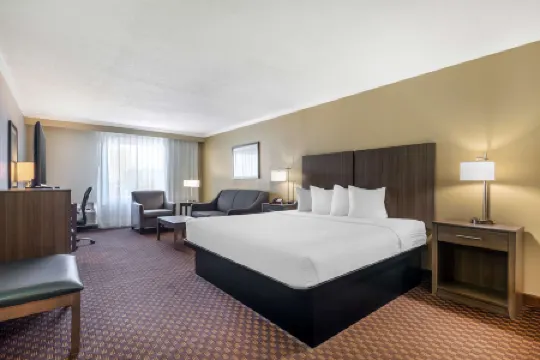 Best Western Ocean City Hotel  Suites