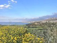 Lovely furnished one-bedroom apartment with an amazing sea view Hotels in Kalograia