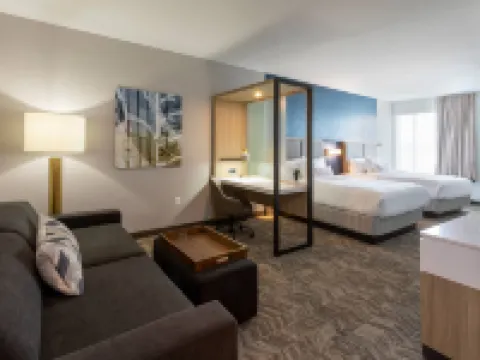SpringHill Suites Minneapolis Maple Grove/Arbor Lakes Hotels in Maple Grove