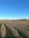Gîte Très Calme au Milieu des Vignes et des Vergers