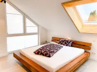 TANTE IDA'S Suite with unique lake and mountain views Hotel a Bodolz