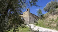 SCAPPO IN UMBRIA, Grechetto