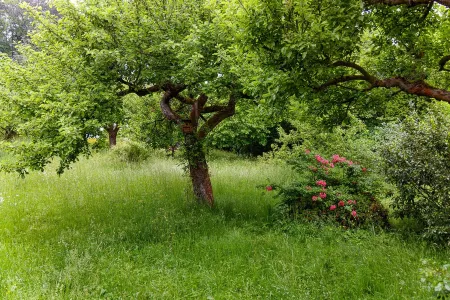 Das Ferienhaus mit Viel Platz - am Fuß des Thüringer Waldes