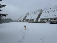 Hare of the Dog - 3 BR - Sleeps 10 - Ground Level Walk Out