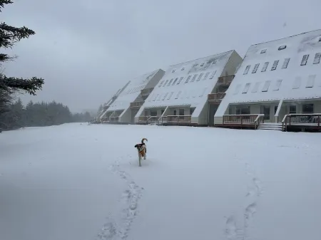 Hare of the Dog - 3 BR - Sleeps 10 - Ground Level Walk Out