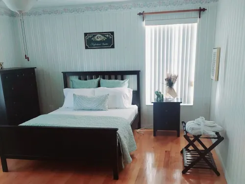 Kemet/ Egypt Themed Pool Home Minutes from Busch Gardens