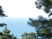 Romantic newly renovated beach cottage Hotels in Gualala