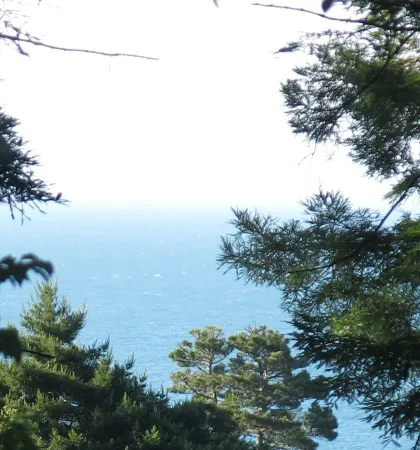 Romantic newly renovated beach cottage