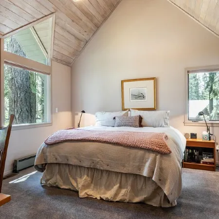 Ponderosa Pine Escape