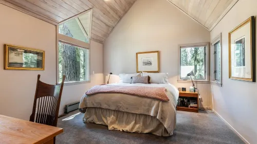 Ponderosa Pine Escape