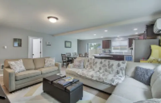 The Sizzl-INN' Seagull