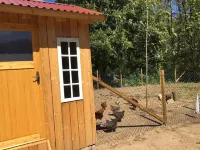 Cozy country life between Hamburg and Lübeck. 2-room-apartment 2 to max. 4 pers.