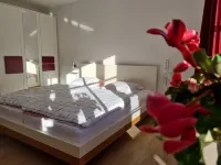 Water lily Apartment