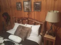 Unique Rustic, upscale, 3 br/2 ba Cabin w/Fireplace, Firepit, Pool Table & Wifi