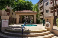 Super Host w/23 reviews on Airbnb! Fantastic Location- Biltmore Luxury Condo